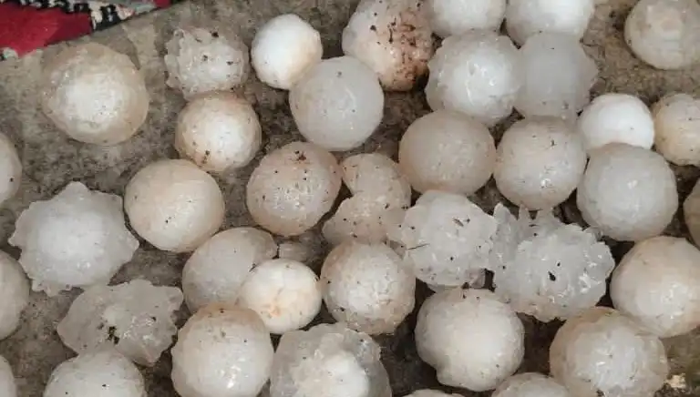 Şanlıurfa'da Kar Topu Büyüklüğünde Dolu Şoku Yaşandı!