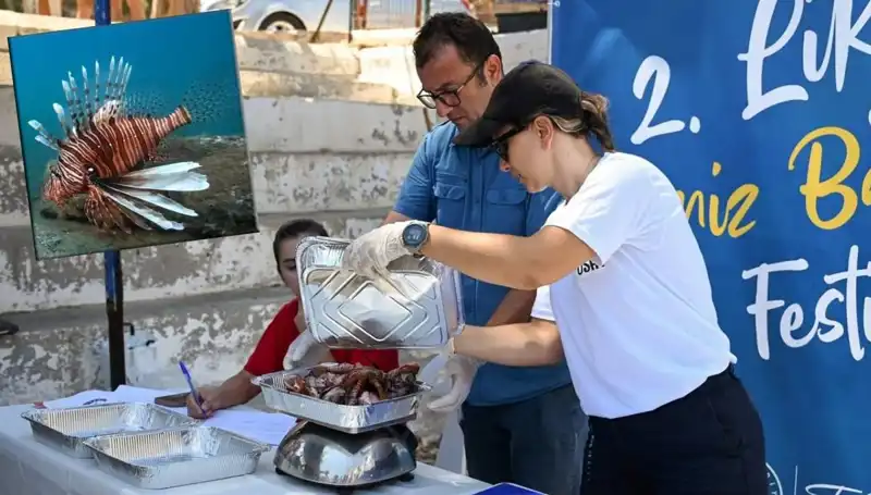 Antalya'da Heyecan Dolu İstilacı Aslan Balığı Avlama Yarışması
