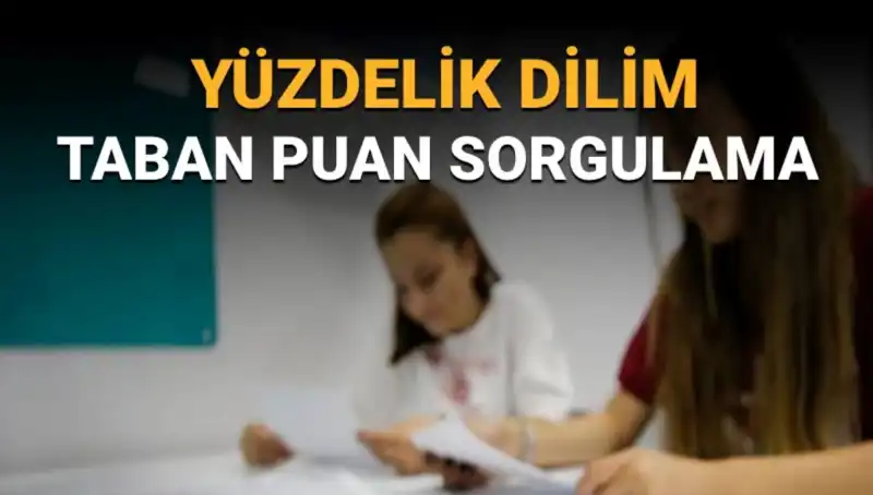 LGS 2025 Taban Puanları Açıklandı! Yüzdelik Dilim Sorgulama Nedir?