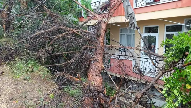 Yağmur, Yılların Terkedilmiş Binayı Yerle Bir Etti!