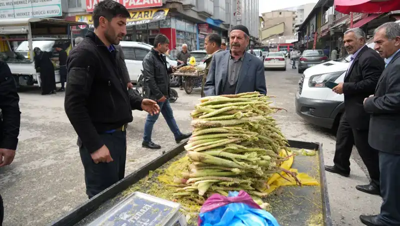 Dağlık Alanlardan Toplanan Şeker: Sağlık İçin Doğal Bir Mucize Mi?