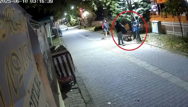 Aydınlatma Direklerindeki LED Işıklarını Sökerek 300 Bin TL Zarar Verdiler