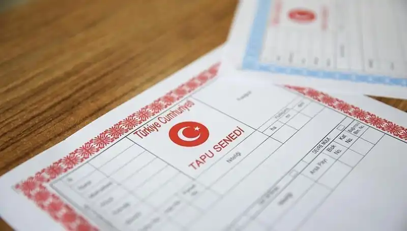 Hisseli Tapu Aldatmacası: 100 Milyonluk Yalan Ortaya Çıktı!