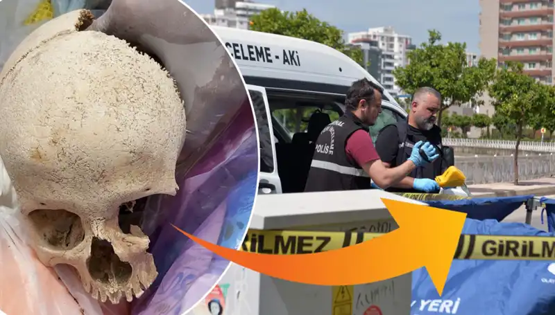 Sitenin Çöpünden Çıkan Kafatasının Sırrı Gün Yüzüne Çıkıyor!