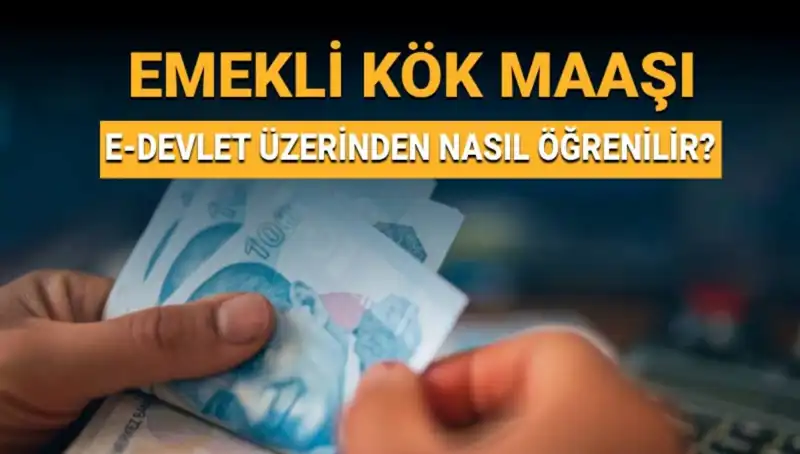 Kök Maaş Nedir ve Nasıl Öğrenilir? Kapsamlı Rehber