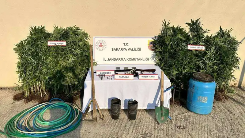 Sakarya'da Uyuşturucu Operasyonuyla Tek Tutuklama Gerçekleşti!