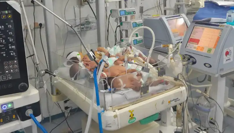 Gazzeli Doktorlar Çaresiz: Kuvözlerde Yaşanan Dramatik Durumlar Ne Anlama Geliyor?