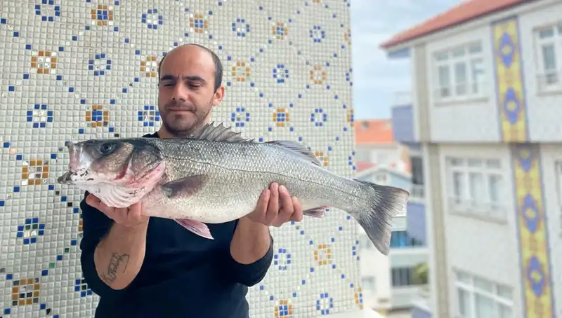 7,5 Kiloluk Dev Levrek Avı Türkiye'nin Balıkçıları Arasında Gündem Yarattı
