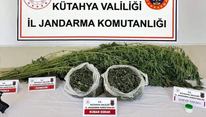 Kütahya'da Uyuşturucu Operasyonu: Bir Kişi Tutuklandı