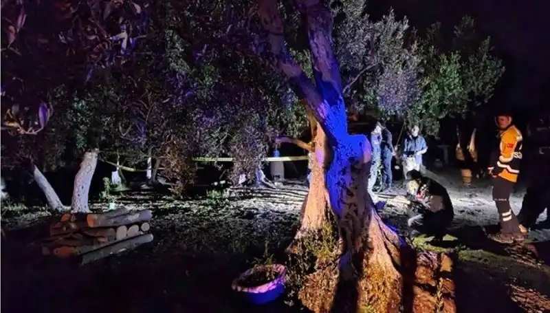 Çiftlikteki Baltalı Vahşet Doğayı Şok Etti: Bir Tutuklama Gerçekleşti
