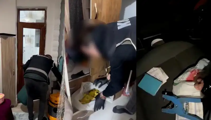 Hayvan Sevk Belgesi Usulsüzlüğü: Operasyonda Dokuz Kişi Gözaltına Alındı!