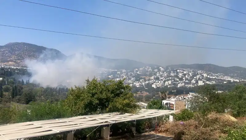 Muğla’daki Orman Yangınları Kontrol Altına Alındı: Son Gelişmeler Neler?