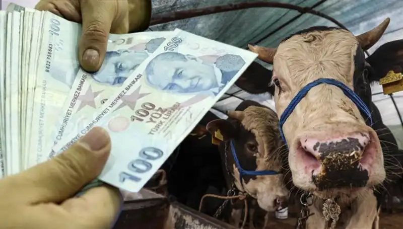 Bayram Öncesi Memur ve Emekli Maaş Ödemeleri Ne Zaman Yapılacak?