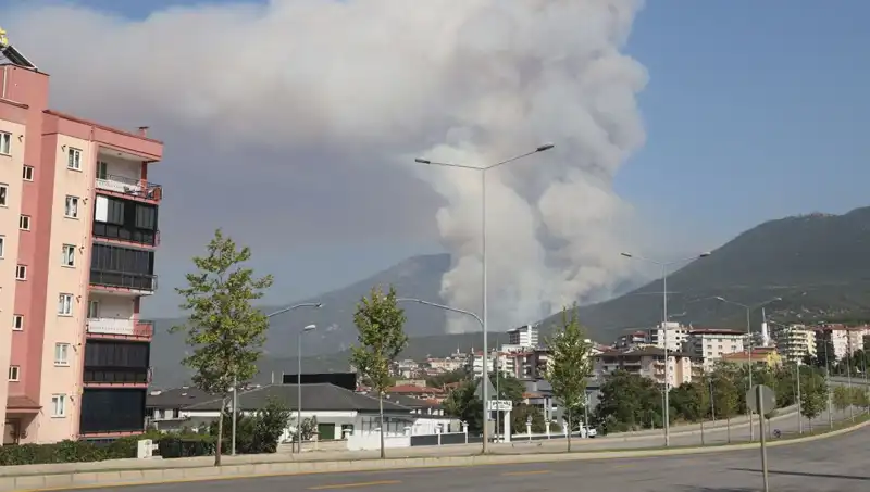 Denizli Orman Yangınında Şüpheli Gözaltında: Olayın Detayları Açıklandı