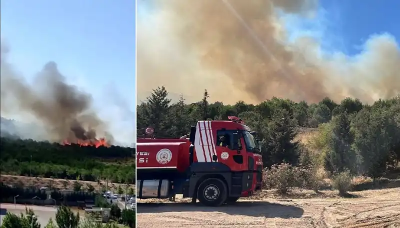Gebze'de Orman Yangını: Hem Doğa Hem İnsanlar Tehdit Altında